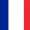 France Long Wig